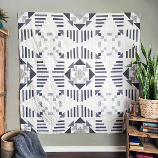 Geometric patterned quilt hanging on a wall in a room with books and plants.