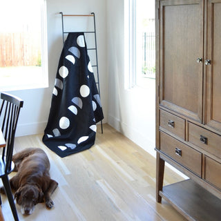 Black quilt with white and gray circular and half-moon shapes draped on a ladder in a bright room, next to wooden furniture and a resting dog, showcasing Sewn's Sunroom Quilt Pattern (Download).