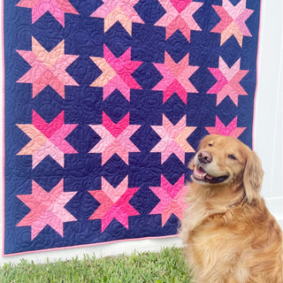 Beaming Quilt Pattern (Download) by Homemade Emily Jane featuring bright pink star quilt blocks on a navy background beside a happy golden retriever
