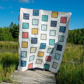peter-s-pictures-quilt-pattner-meaford-pattern-press-quilt-photo-5