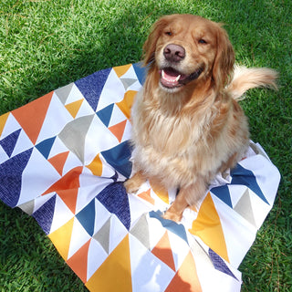 sail-homemade-emily-jane-quilt-photo-2